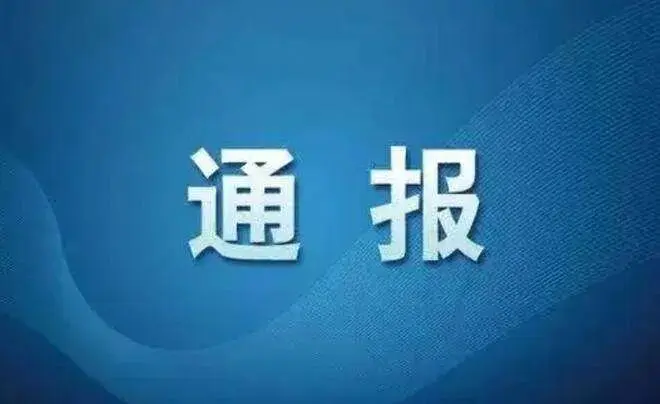 中共博農集團黨委關于十二屆市委第七輪巡察整改進展情況的通報
